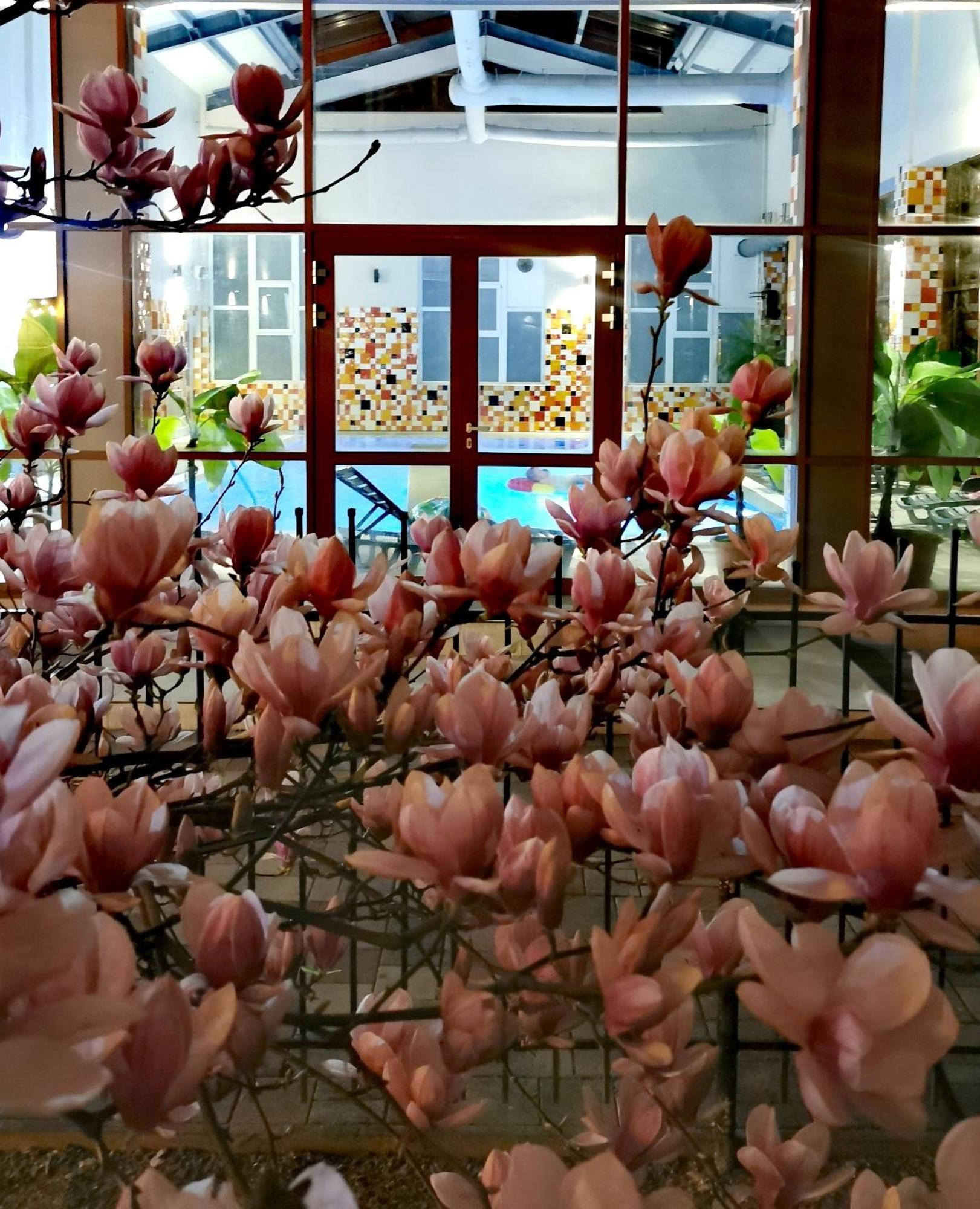 Hotel Metropol à Băile Felix Extérieur photo